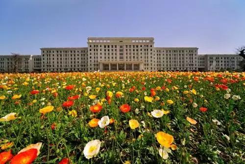 牛爆了原版视频,牛爆了