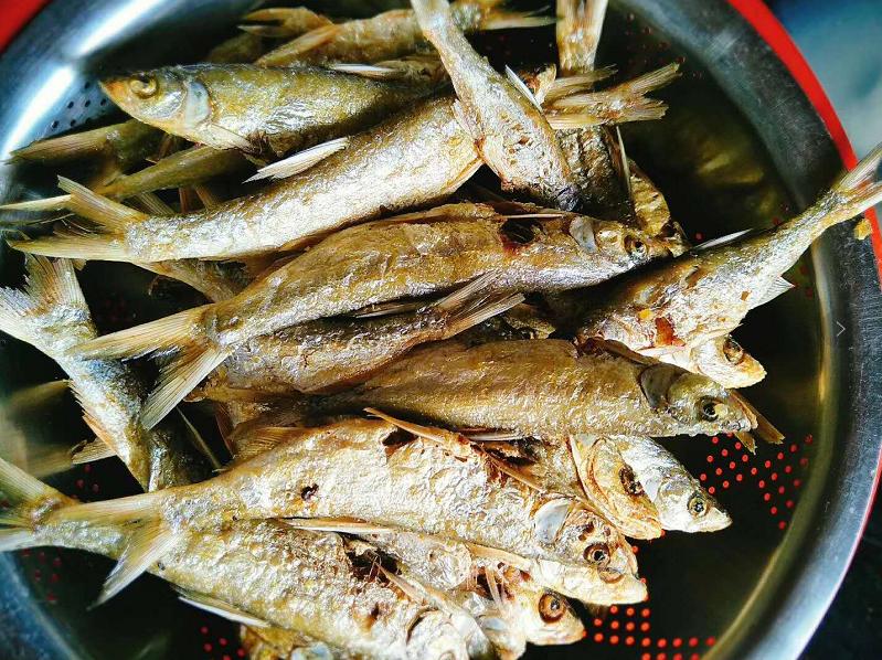 农村河里的这些小野味，你吃过吗？个个是绝品，超好吃！