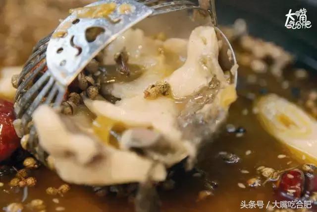 合肥自助鱼火锅,合肥5个火锅店