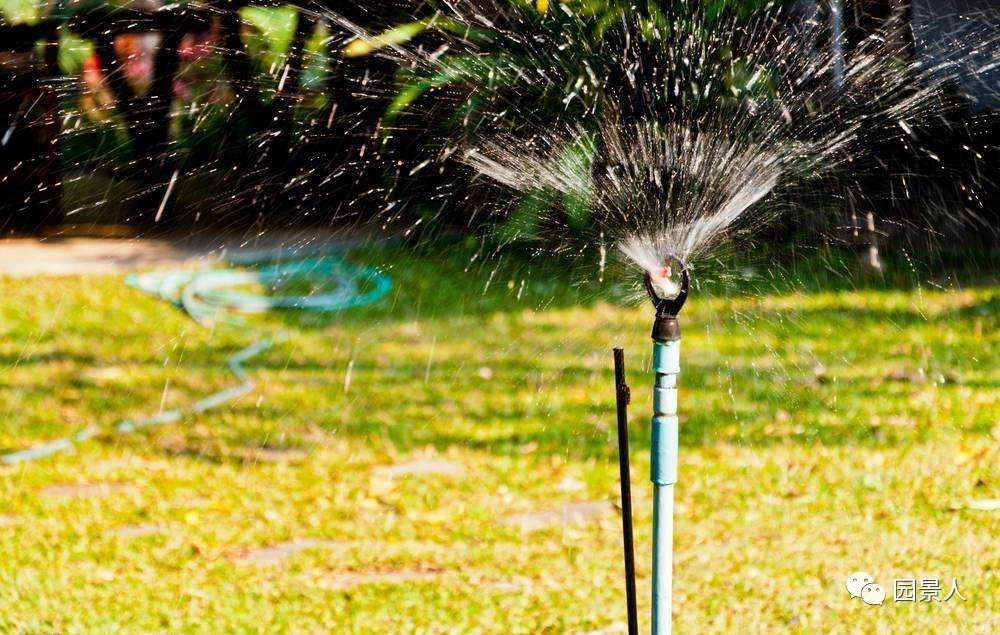 新铺的草坪怎么维护,草坪怎么维护保养