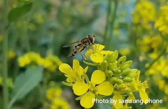 三星galaxys7解锁,三星GalaxyS7