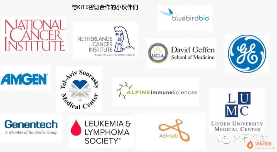 细胞治疗机构,细胞免疫治疗有哪些公司