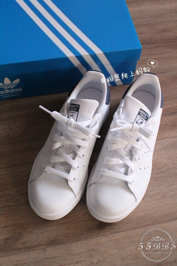 蚂蚁妈妈怀孕,蚂蚁妈妈怀孕了