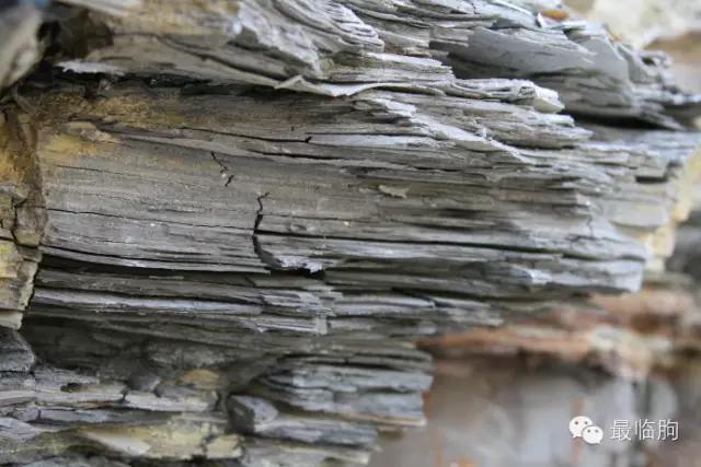 临朐方言潍坊人听不懂,临朐方言总汇