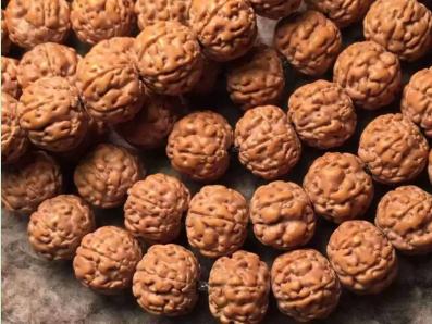 六瓣金刚菩提与七瓣金刚菩提,金刚菩提六瓣20mm的多少钱