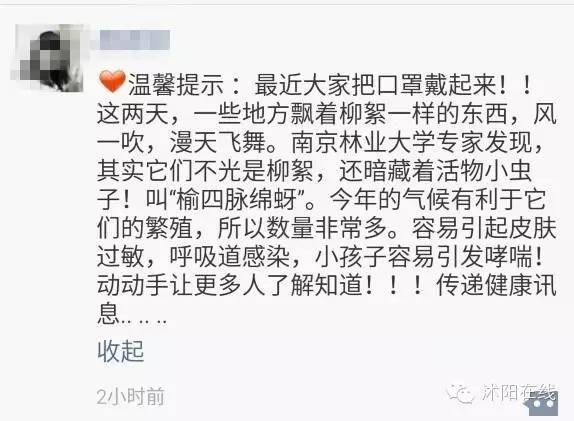 打脸！沭阳最近飘的飞絮是虫子？别逗了！