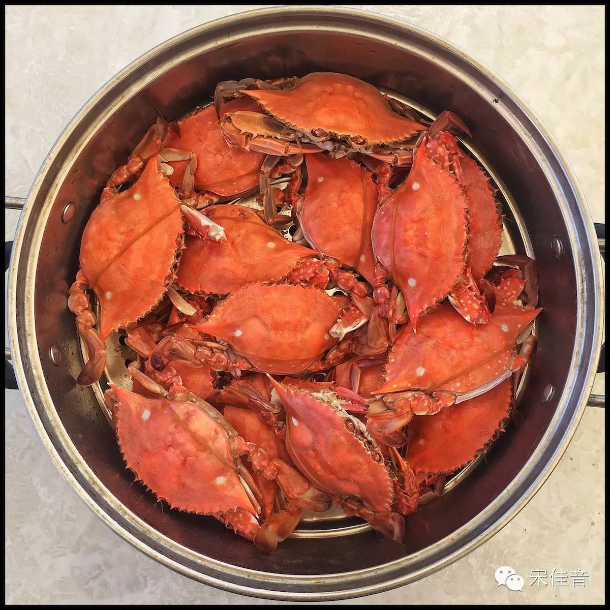 北戴河的风景很美,北戴河最美的地方