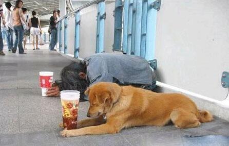 对不起，我要离开宝鸡了，准备去~