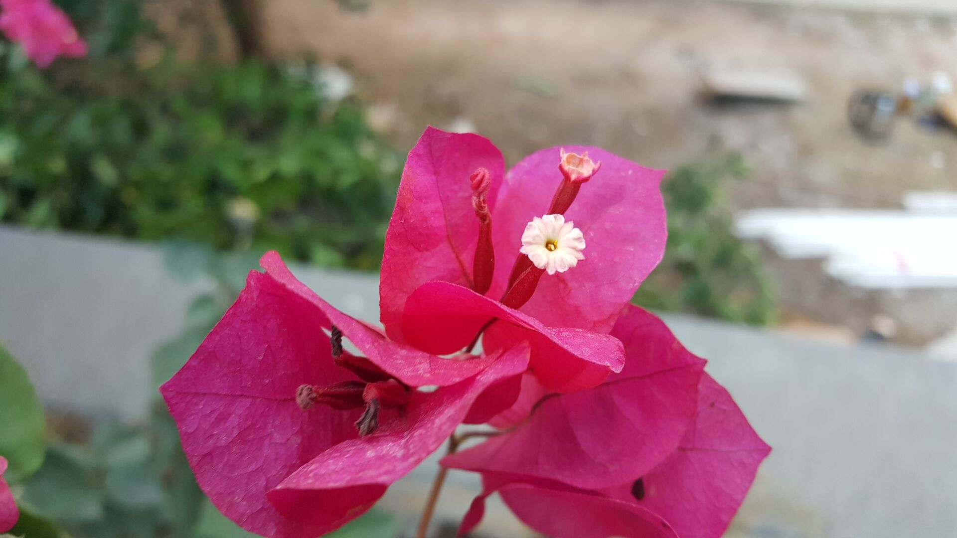 澶╅壌w909璇勬祴,澶╅壌w909缂虹偣