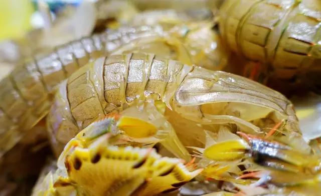 京城最贵海鲜自助餐厅,京城最过瘾的自助餐