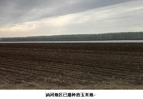 黑龙江二积温带水稻品种介绍,24年黑龙江玉米种植情况