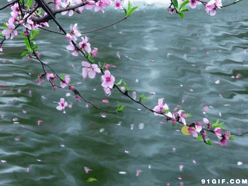 古诗词中的溪水|溪花与禅意相对亦忘言