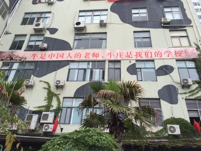 鼓浪屿自驾游全攻略,厦门鼓浪屿登岛全攻略