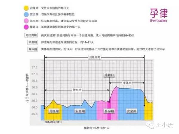 孕律智能备孕仪,孕律体温计靠谱吗