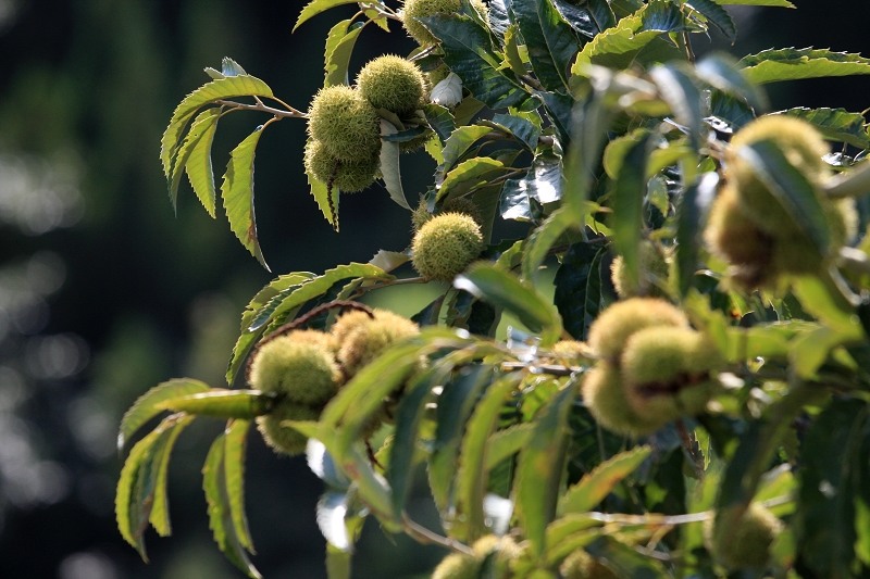 带你北京周边游,周末北京周边自驾游