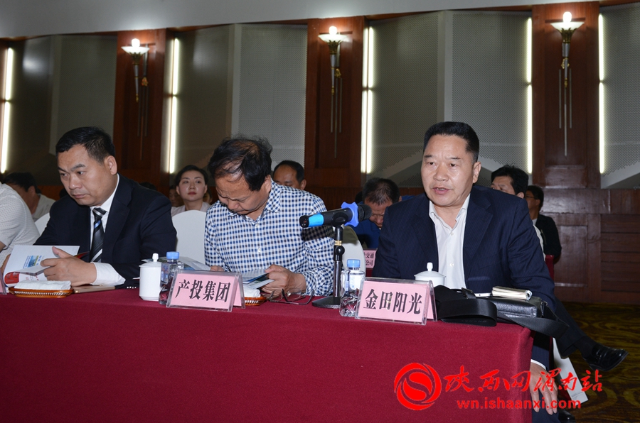 2021丝博会铜川签约项目,2018丝博会阎良临潼签约项目