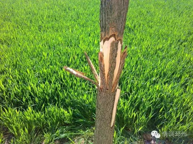 奔跑在路上看风景,奔跑着看风景视频