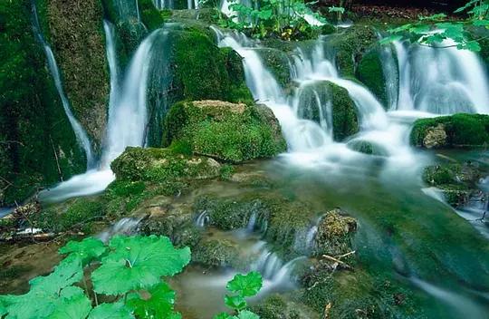 身份证450开头为什么全球免签,身份证丢了急用出国旅游怎么办