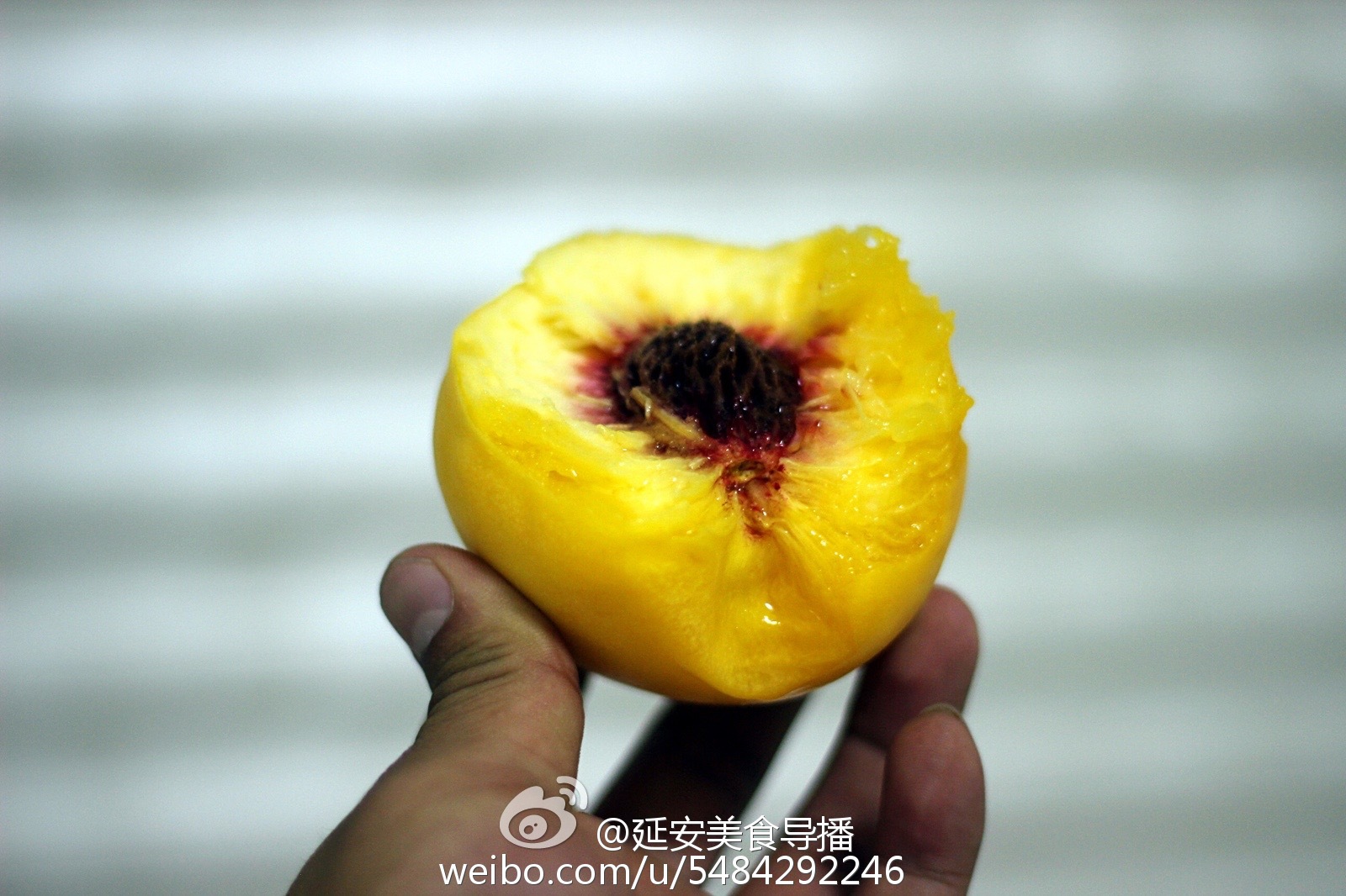 舌尖上的中国西宁,舌尖上的青海西宁