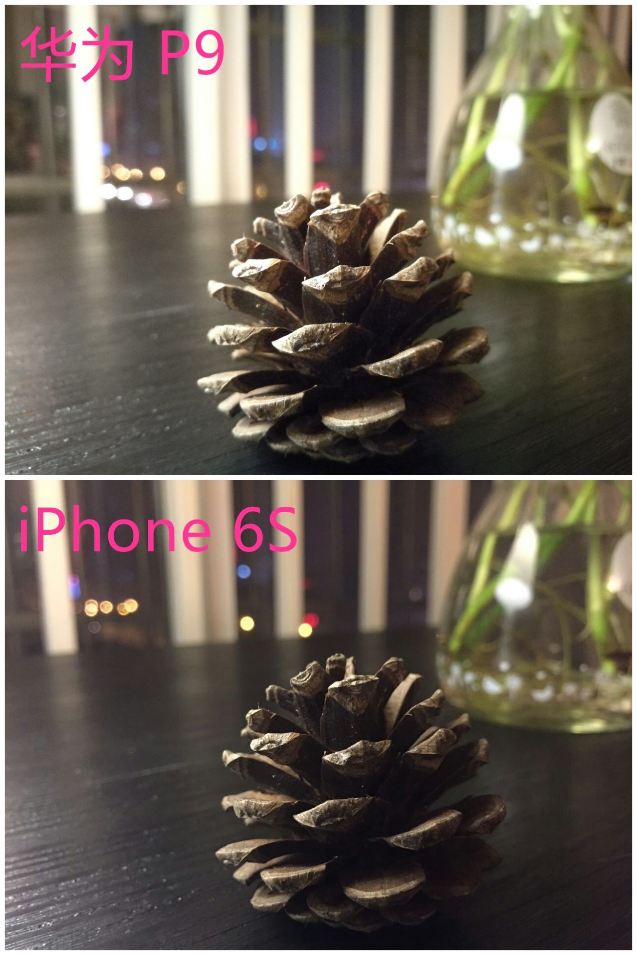徕卡德味！华为P9和iPhone6S拍照对比