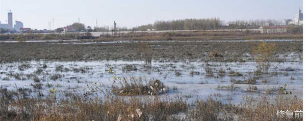 城市双修的缺点,什么是城市双修