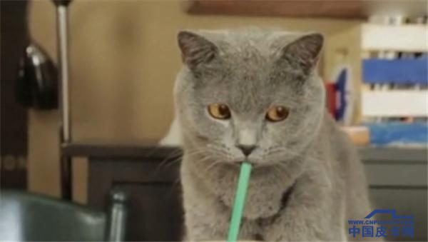 六月去哪HIGH?相约乌海金沙湾！