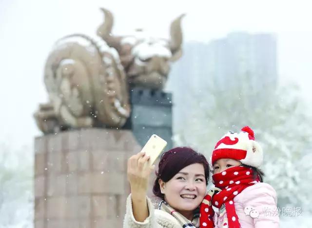 头条|我叫临汾,这是我的最新简历,请多关照!