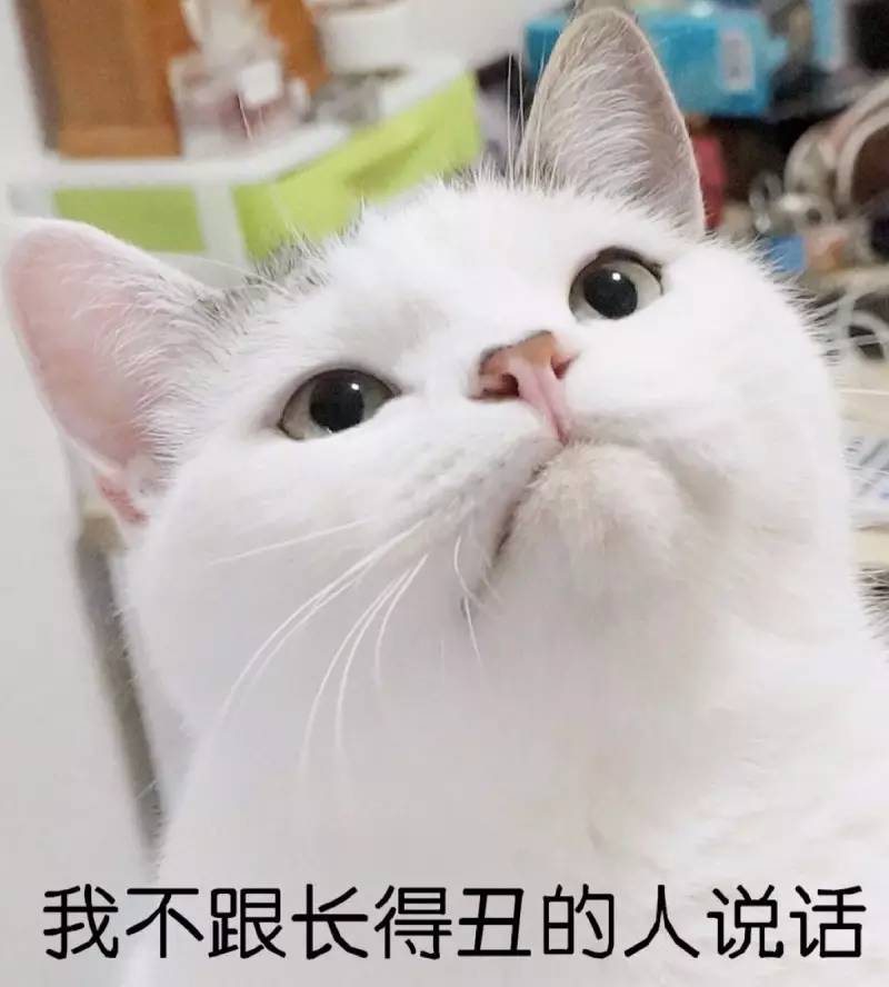 对甲醛说NO！瓦楞纸家具让你高枕无忧