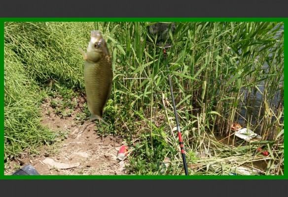 閲庨挀鐑х儰缁濅匠鐮佸ご,鎺ㄨ崘閽撻奔鐑х儰
