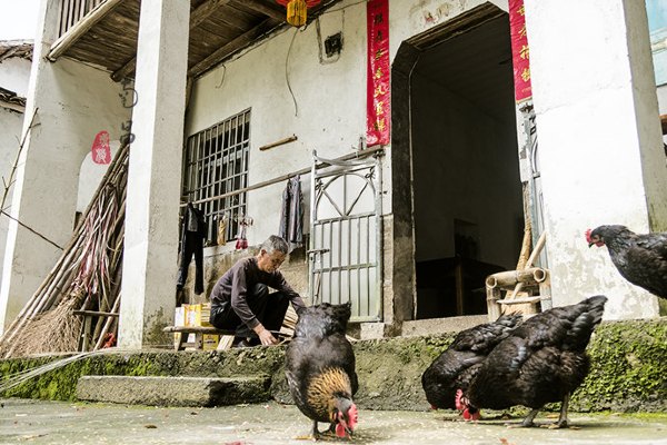养在深闺里无人知,养在深闺无人识全文