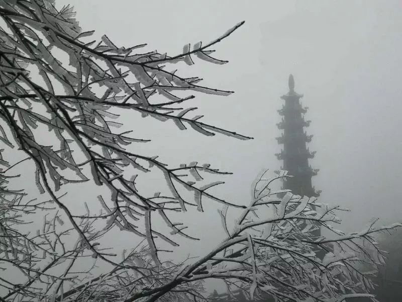 华蓥山风景区下雪了吗,华蓥山2022年2月1号下雪了吗