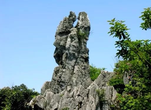 华蓥山风景区下雪了吗,华蓥山2022年2月1号下雪了吗