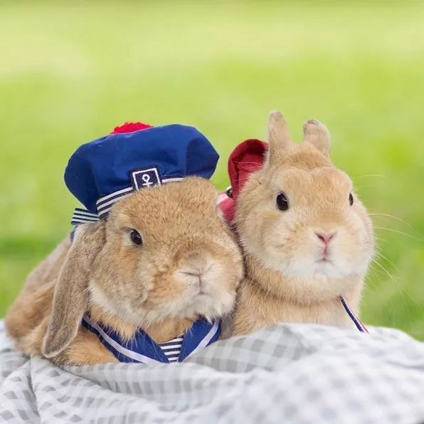 十二生肖驾到，时尚精们给我退下！