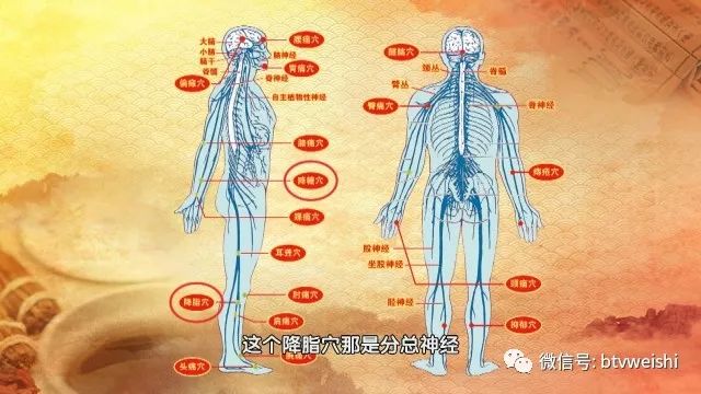 平衡针灸养生堂,养生堂针灸绝技