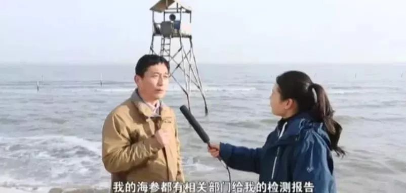 十块钱吃海鲜,吃海参的秘密