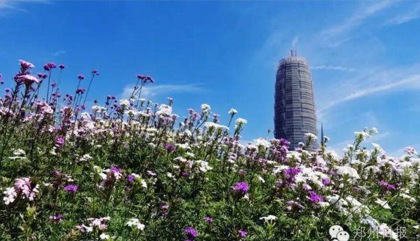 来吧,一起为大郑州打call!“i郑州2017郑州十大新闻”评选活动启动