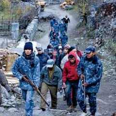 冬虫夏草里面的虫的悲惨,冬虫夏草神话破灭