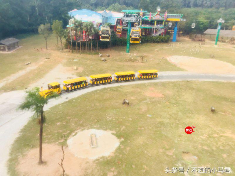 长隆野生动物园3天2晚亲子游,广州长隆野生动物园亲子游攻略