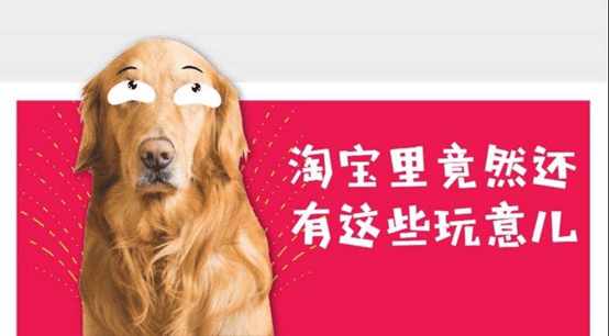 万能的淘宝，愉快的家装