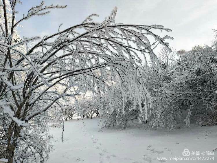 长白山雾凇天池,天池雪霁