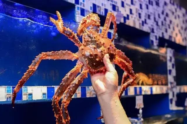 武汉这些美味的小吃,武汉的美食有多吸引人