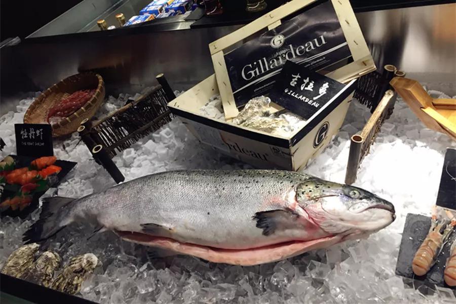 宁波小伙放弃7年国企铁饭碗,转行杀鱼,现在怎么样了?