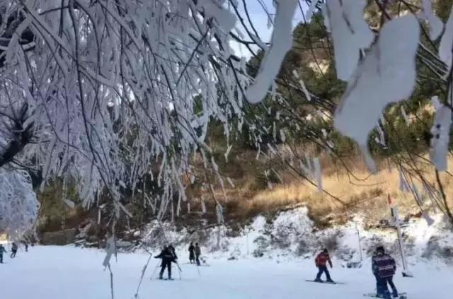 盘点西安周边的五大必捷滑雪场,西安去照金滑雪场攻略