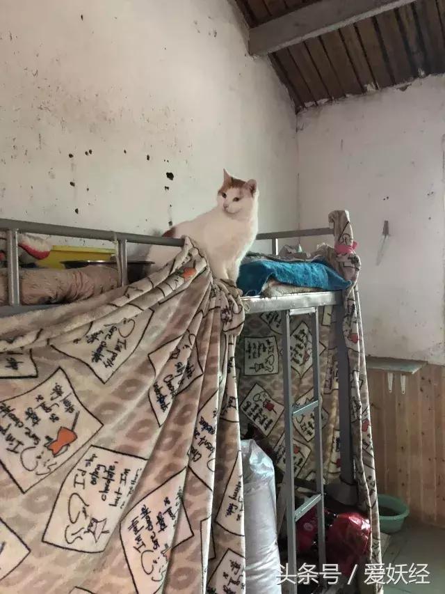 爱妖经陪你过暖冬｜爱要有你才温暖