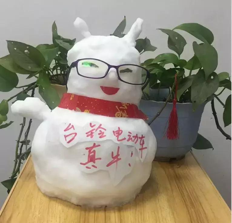 台铃车子和雅迪车子到底哪个更好,台铃萌雪2022新款