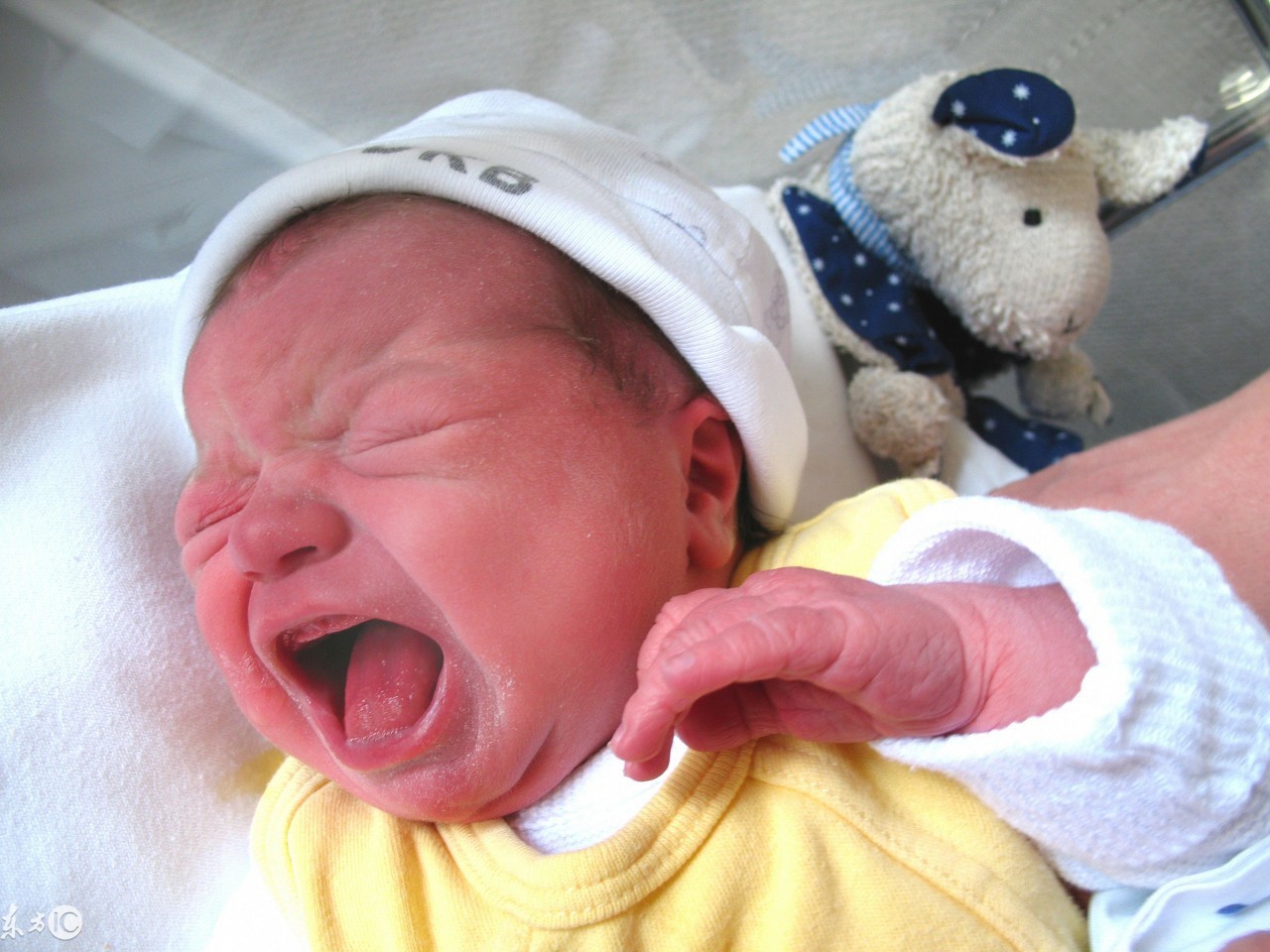 幽默的育儿笑话,100个笑到肚子疼的笑话大全