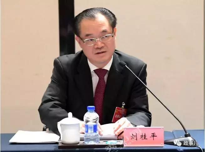 重庆市政府领导调整公示,重庆市政府领导名单公示