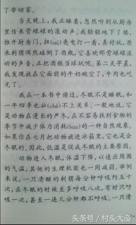 语文课本童年的回忆板书,小学语文课本回忆2012版
