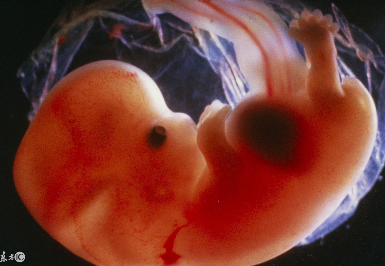 孕期禁忌犯了怎么办,孕妇吃错药写孕妇禁忌的药怎么办