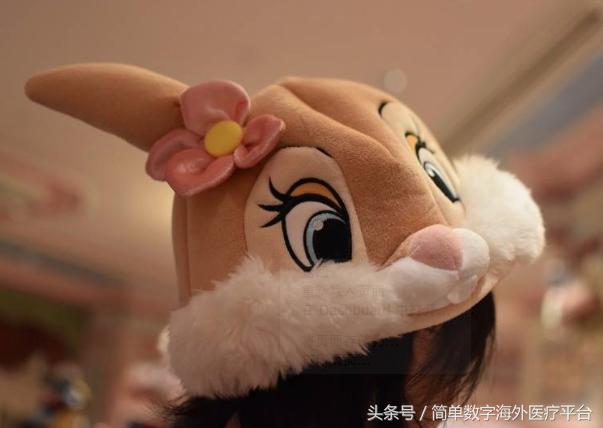 日本东京迪士尼值得购买的商品,去迪士尼最值得买的纪念品